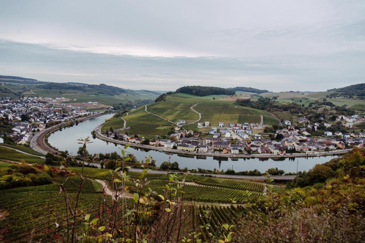 Weingut Und Gaestehaus Zilliken Nittel Eksteriør billede